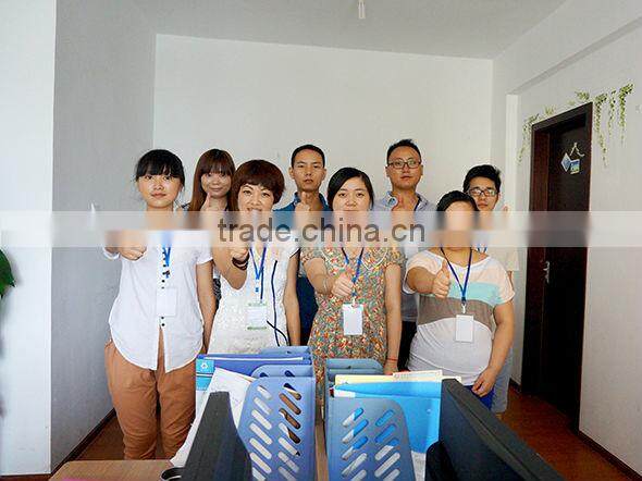 JLSI-0062 Dragonfly Animatronic Insect Model for Sale