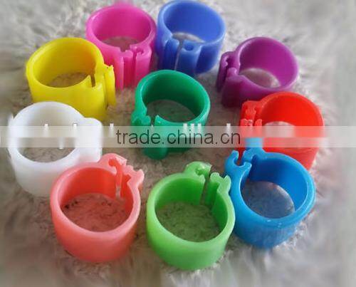 Electronic Ring Pigeon