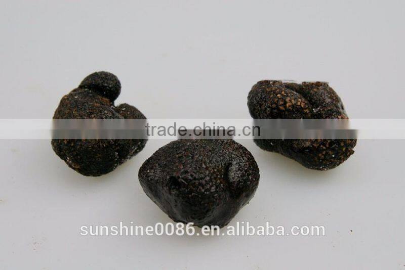 2016 New Crop Frozen Black Truffle From Yunnan China