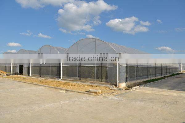 Zigzag Film Greenhouse Sale