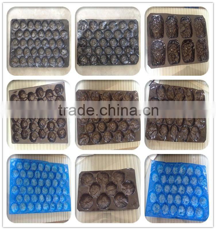disposable tray fruit tray blister packaging for fruit