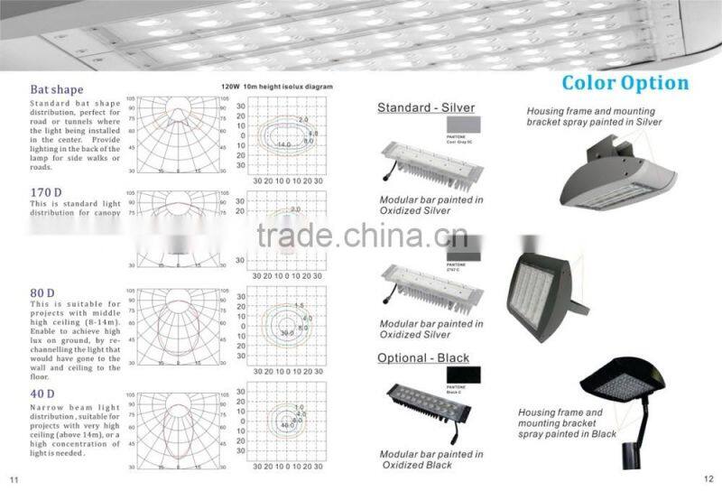 Newly designed IP66 outdoor led spot light led directional floodlight