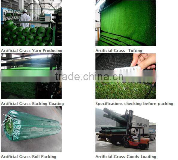natural olive grass factory directly with good price
