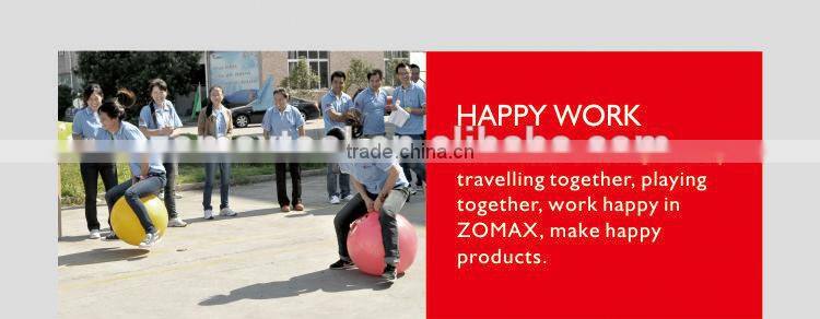 Garden tools ZM6510 64cc power tool battery with walbro carburetor