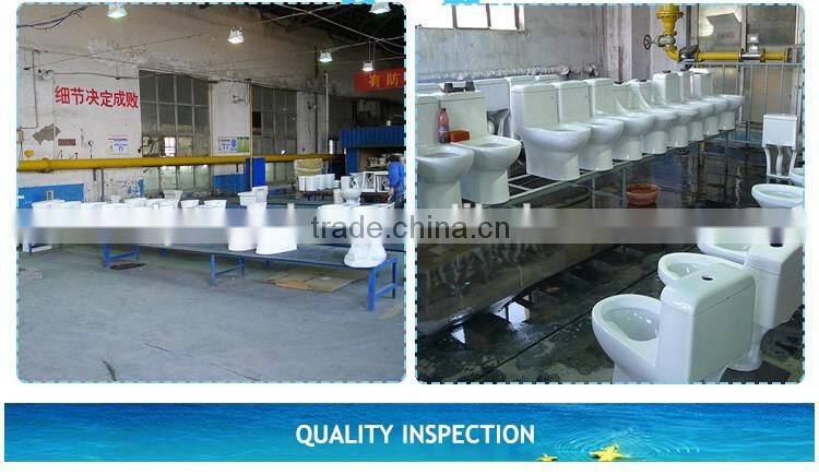 TJZ-06ce 2016 top bidet toilet with bidet function cheap model smart bidet toilet