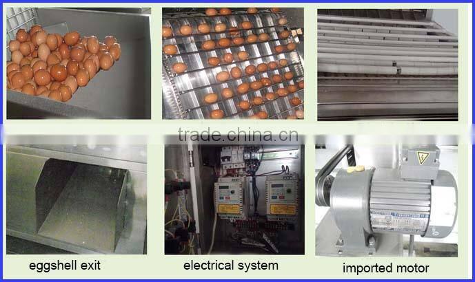 16 Promotion activity egg grading and packing equipment 0086 13721438675