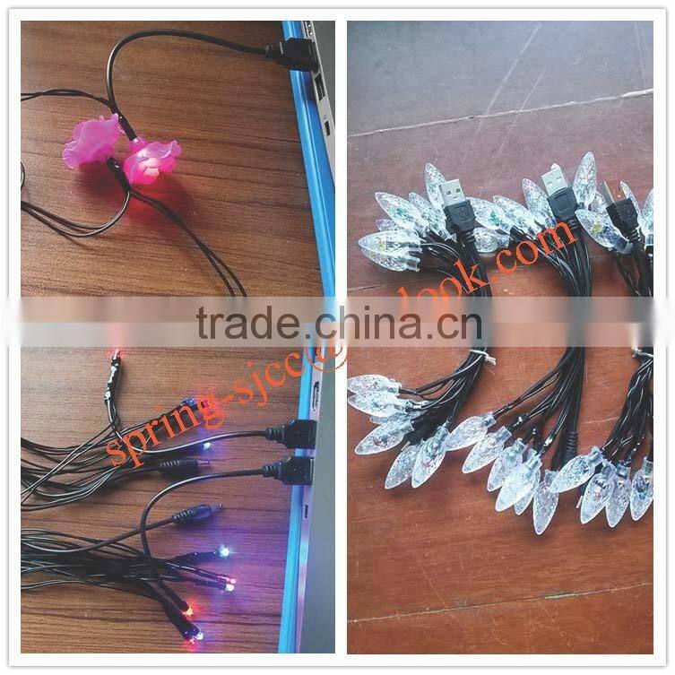party light LED string light with USD plug