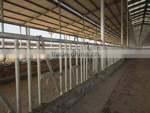 Farm Cow Shed Cow Head Lock hot dip galvanized