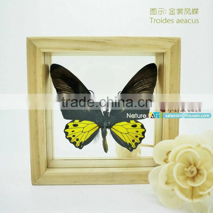 FOUSEN(011) Nature& Art natural butterfly gifts and crafts all products