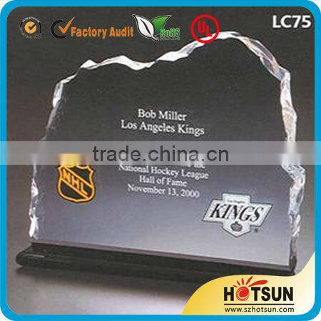 Hot Sale Custom Crystal Acryllic Award for Wholesales