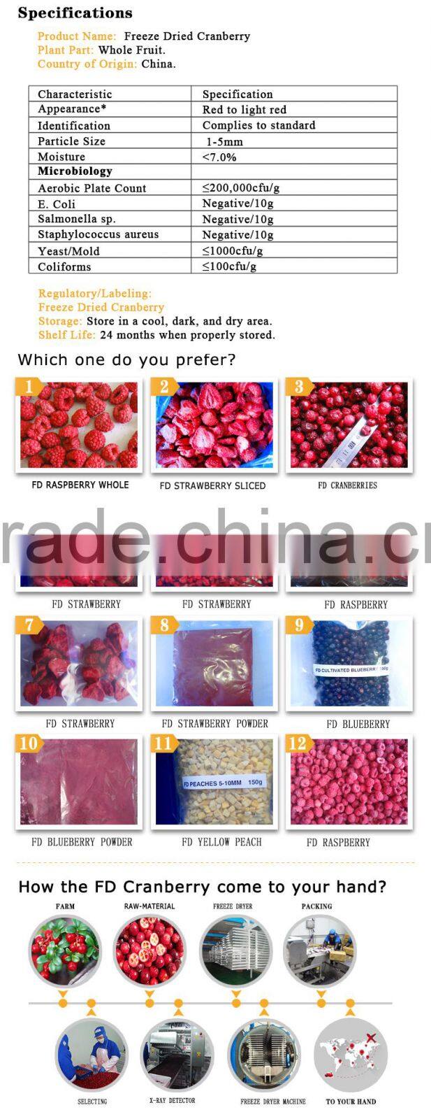 wholesale frozen fruit factory freeze dried cranberry