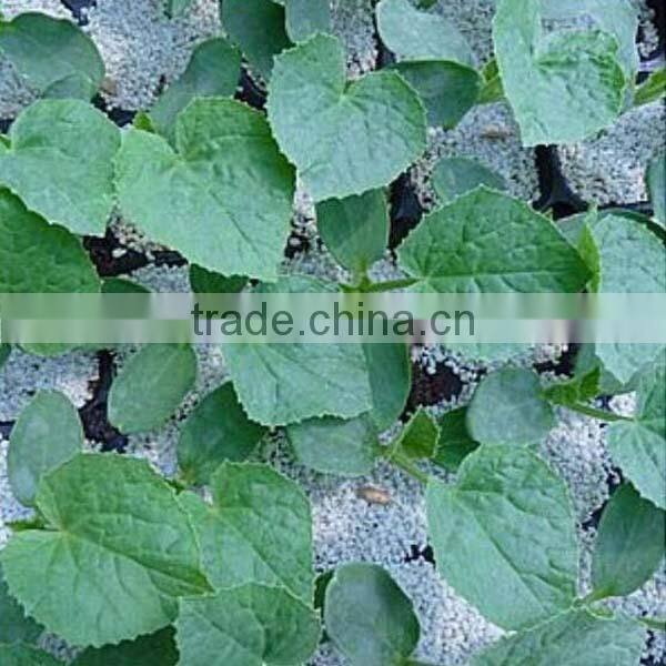 Agricultural/Horticultural Expanded Perlite/Insulation Perlite