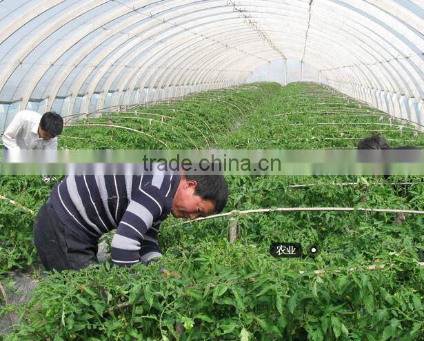 Humic Acid+amino acid organic fertilizer