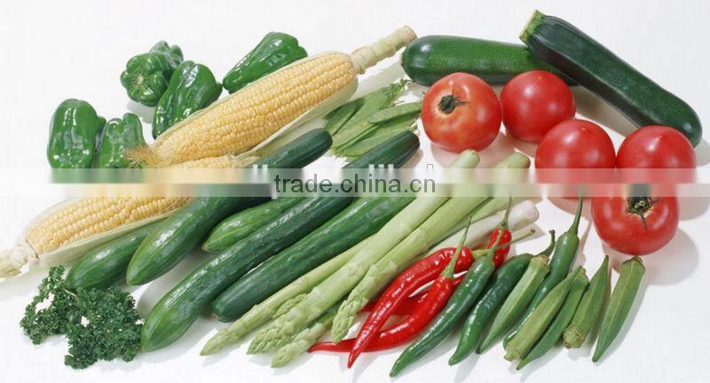 New rolling type automatic vacuum packing machine