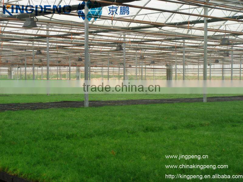 Commercial Plastic Film Greenhouse For Agriculture