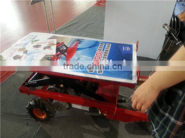 650W farming electric cargo box tricycle for orchard grove