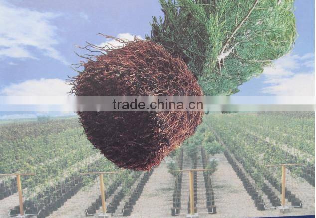 fast growth container/ tree pot/ plastic pot/ root control container