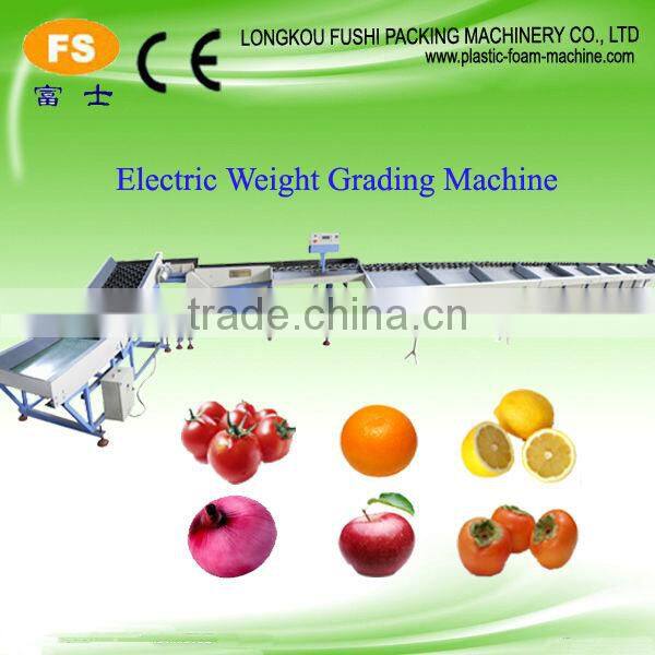 High Quality Fruit & Vegetable Washing Waxing and Sorting Machine