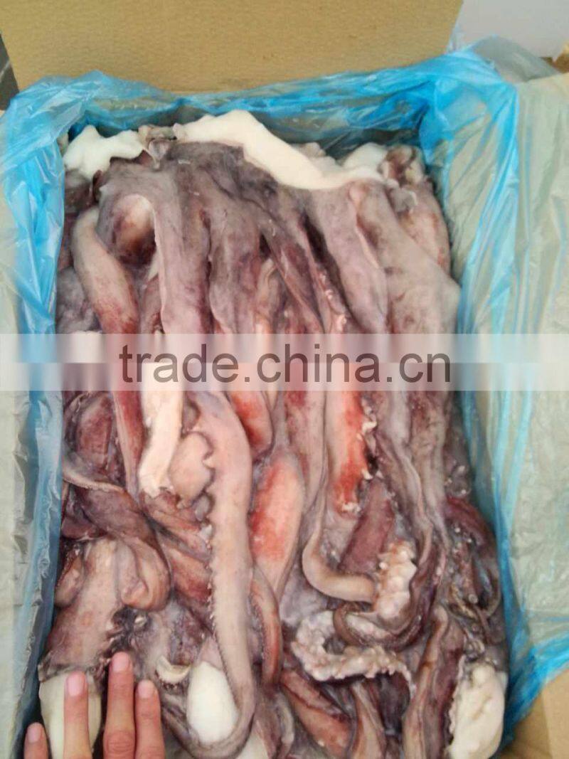 fishing boats,Frozen Giant Squid Tentacle