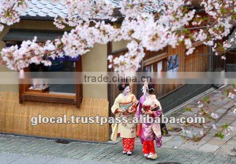 Japan Oil Blotting Paperb Gold Leaf Pressed Paper from Kyoto Kyo-Komachi Lily 60sheets wholesale