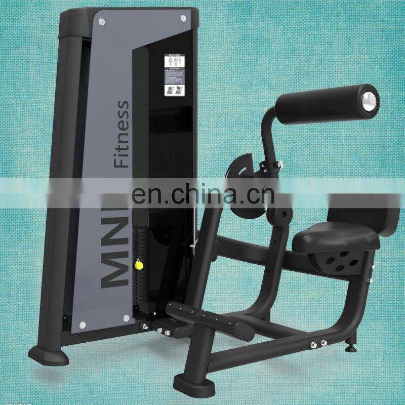 Box Gym Use Commercial Fitness Equipment / Back Extension Manufacturer