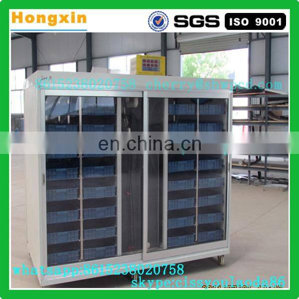 Bean Sprout Growing Machine | Bean Sprout Machine | Mungbean Sprout Machine