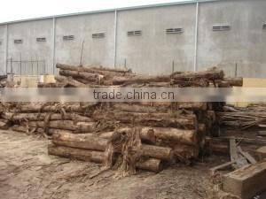 High quality best selling eco friendly Natural Wooden Trolley-2 wheels from Viet Nam