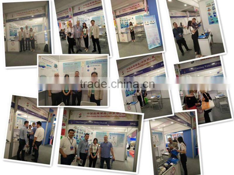 Horizontal woltman type anti clogging irrigation water meter