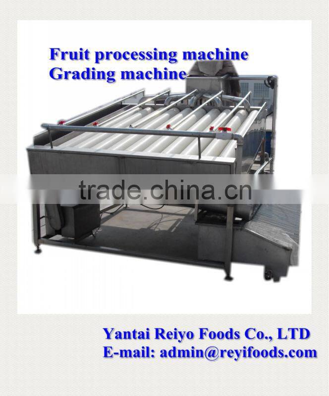 Cherry grading machine / cherry/tomato grading machine