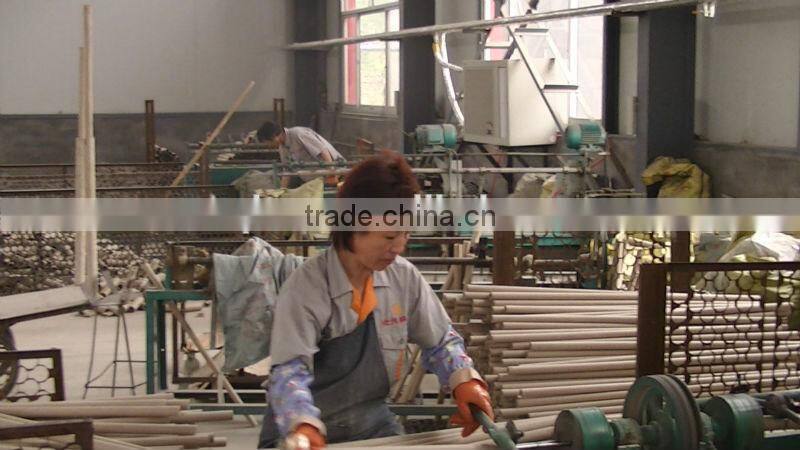 Injection Probe for Measuring Oxygen and Carbon for Foundry