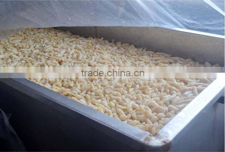 preserved cucumber,salted cucumber,preserved cucumber pink