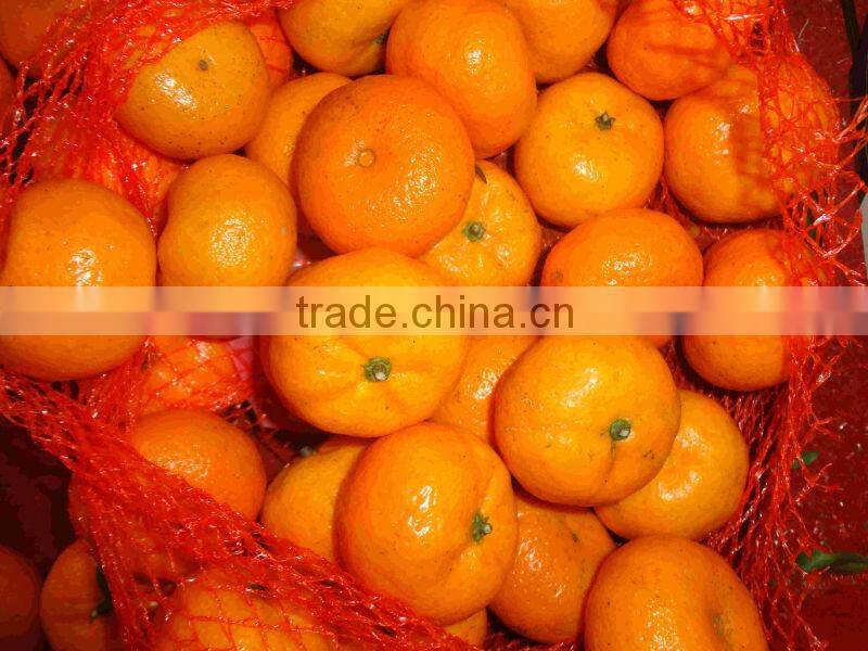 citrus fruit baby mandarin orange
