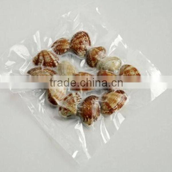 Frozen boiled clam meat seafood