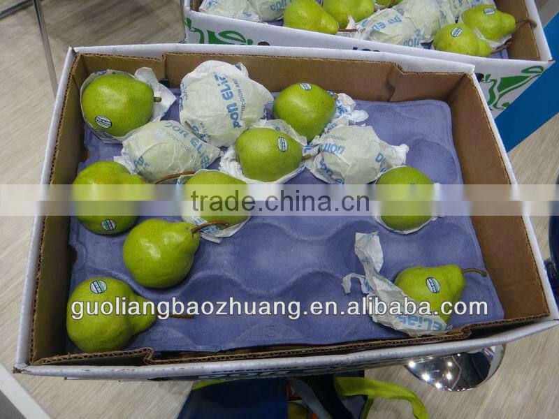 Colorful/Plastic Packaging Blister Food Tray