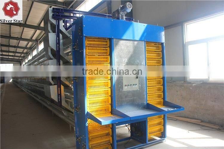 automatic belts manure removal/cleaning system chicken layer cage