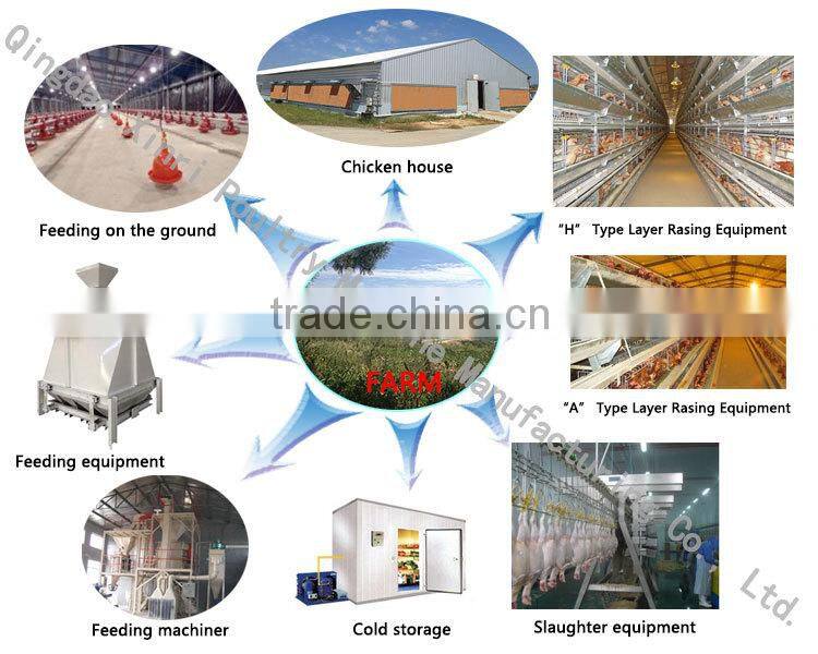 used chicken house equipment for poultry farm