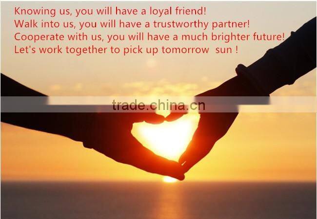 China 2016 steel structure refuse treatment plant