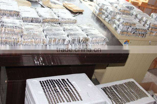 Wholesale Hot Sale New Design and High Quality Fashion Tungsten Jewelery IP Gold Magnetic Bracelet