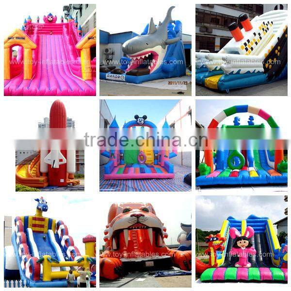 Classic design cheap inflatable noah's ark slide