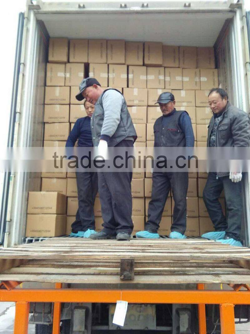 2015 good price of peeled chestnut packing with vaucum bag in china