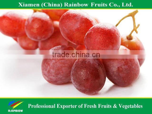 Nasik grapes from Yunnan & Xinjiang area Red globe grape fresh fruit Red grape from China import export companies pune