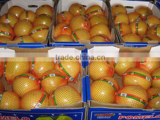 new crop honey pomelo