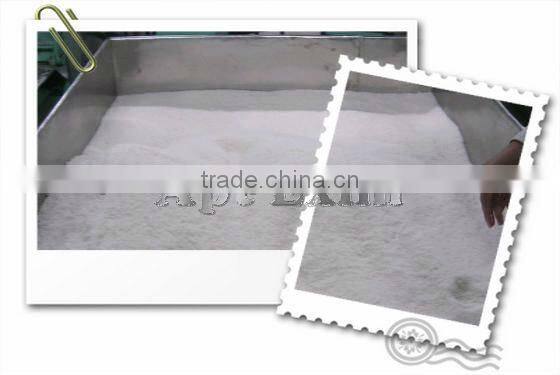 Instant Desiccated Coconut Powder from India