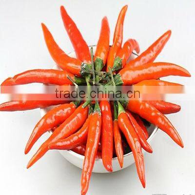 Factory price! FDA,ISO,KOSHER,HACCP ,dehydrated chilli/dried chilli/red pepper