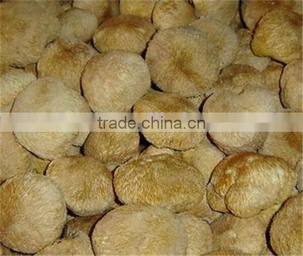 Frozen Shitake Mushroom