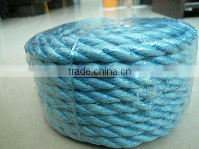 20mm diameter pp danline rope