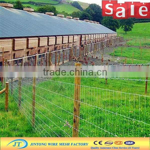 customized cheap price pvc coated cattle fence netting for sale