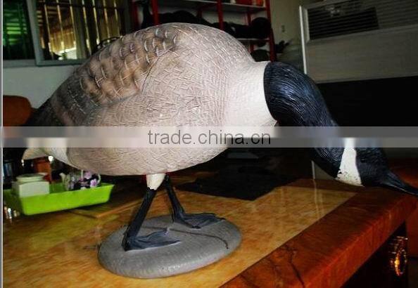 colourful goosey,resting watching Decoy goose for hunting,Decoy goose for hunting