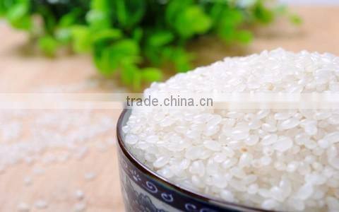 Mini combined rice miller