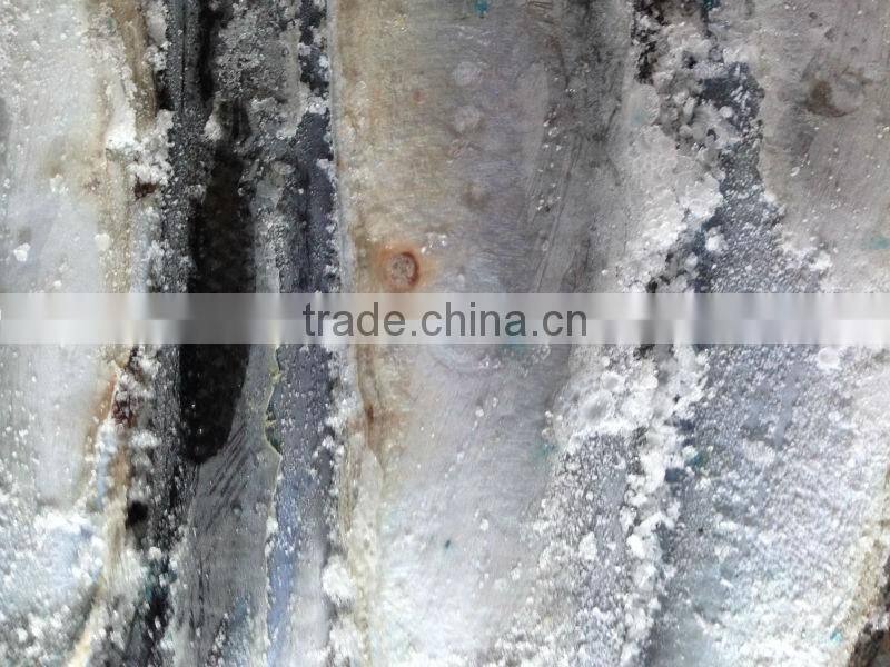 W/R Frozen pacific Saury